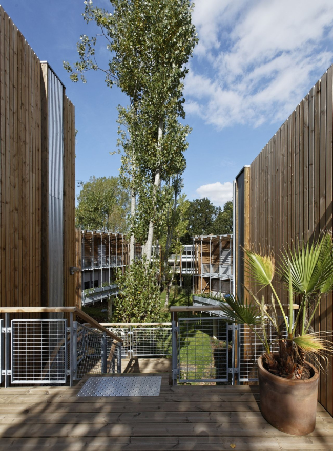 ����� �������� La Canopée � Vincent Monthiers