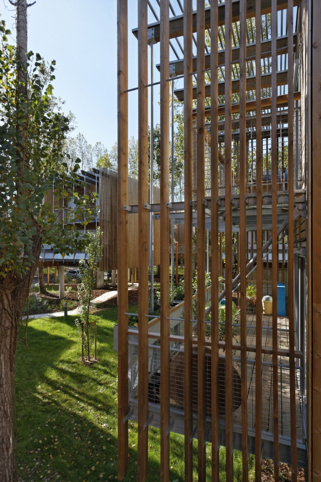 ����� �������� La Canopée � Vincent Monthiers