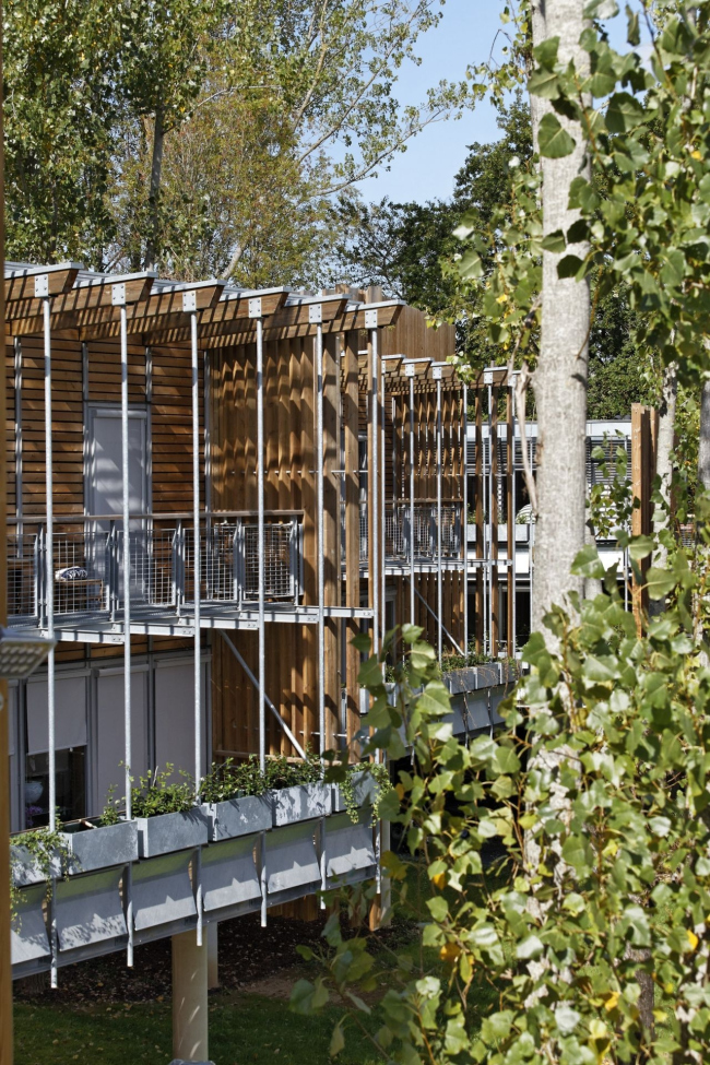 ����� �������� La Canopée � Vincent Monthiers