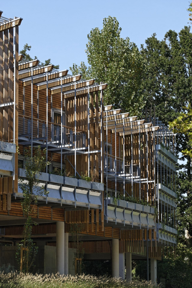 ����� �������� La Canopée � Vincent Monthiers