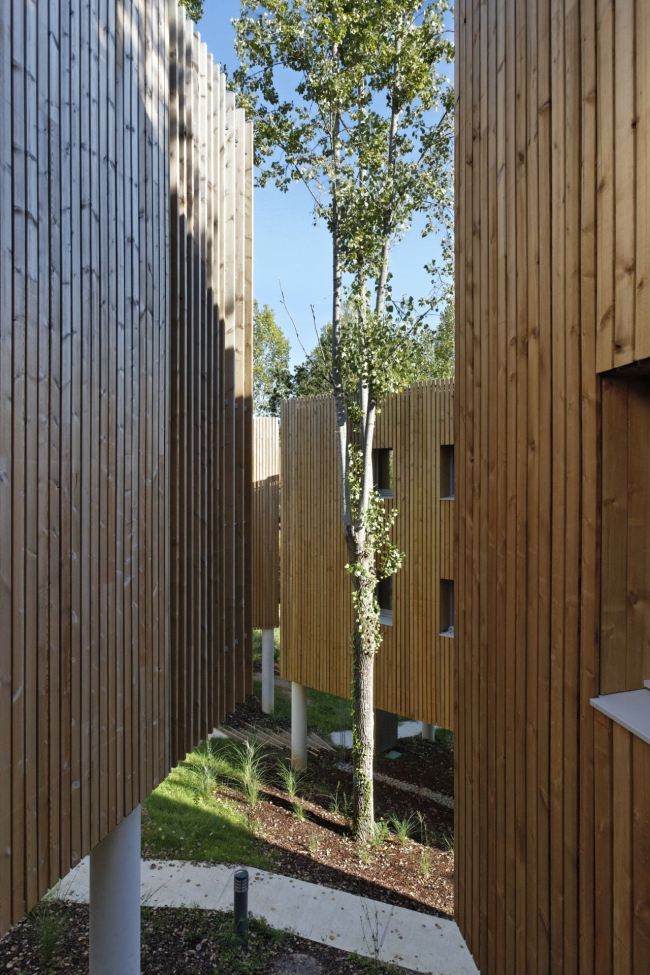 ����� �������� La Canopée � Vincent Monthiers