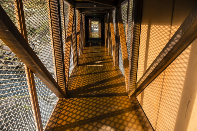 ���� ո�� � Dag Jenssen