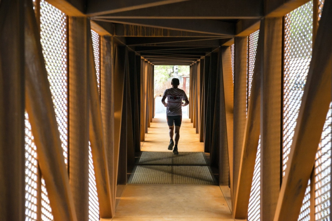 ���� ո�� � Dag Jenssen