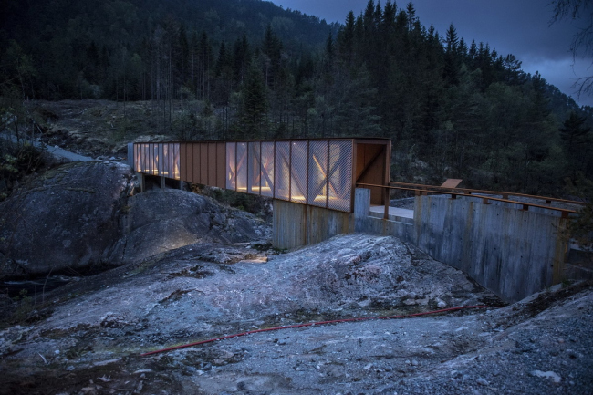 ���� ո�� � Dag Jenssen