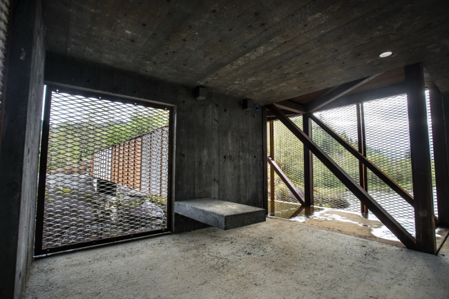 ���� ո�� � Dag Jenssen