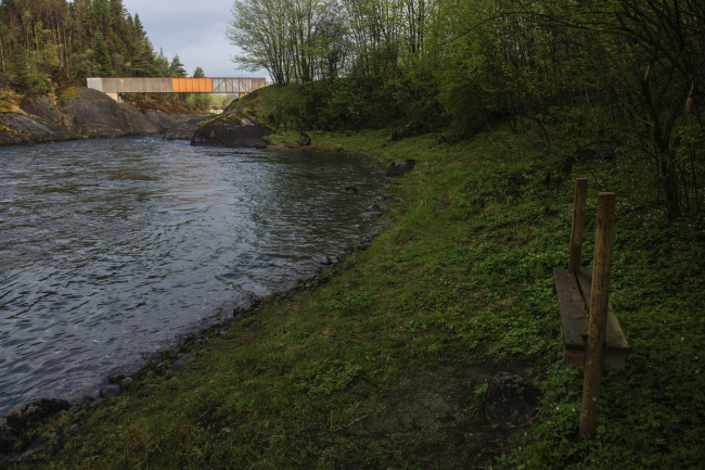 ���� ո�� � Dag Jenssen