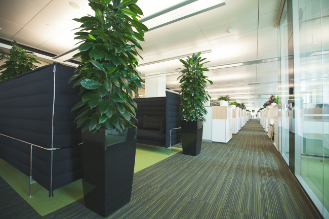 ���������� ������������� ABD architects