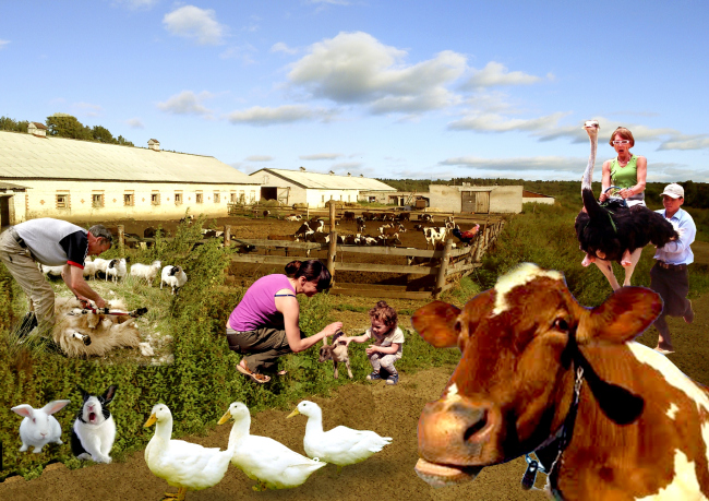 ������ ������������ ������. ����������� ������������� ��������������.