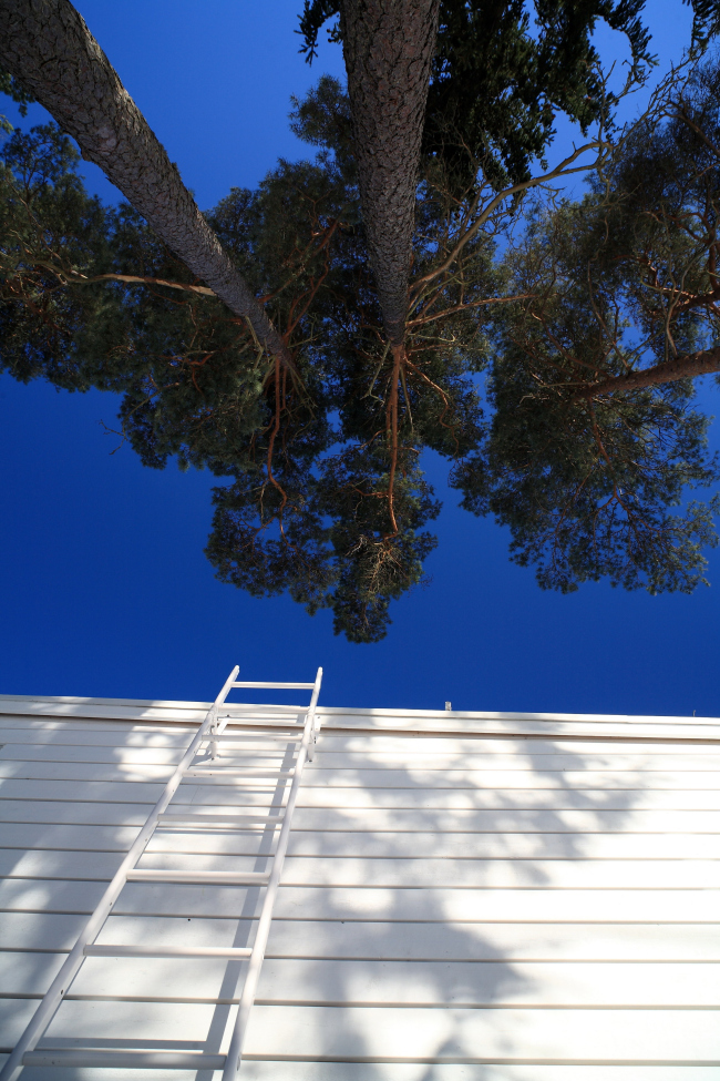 ��� Apelle. ����: AdDa Zei