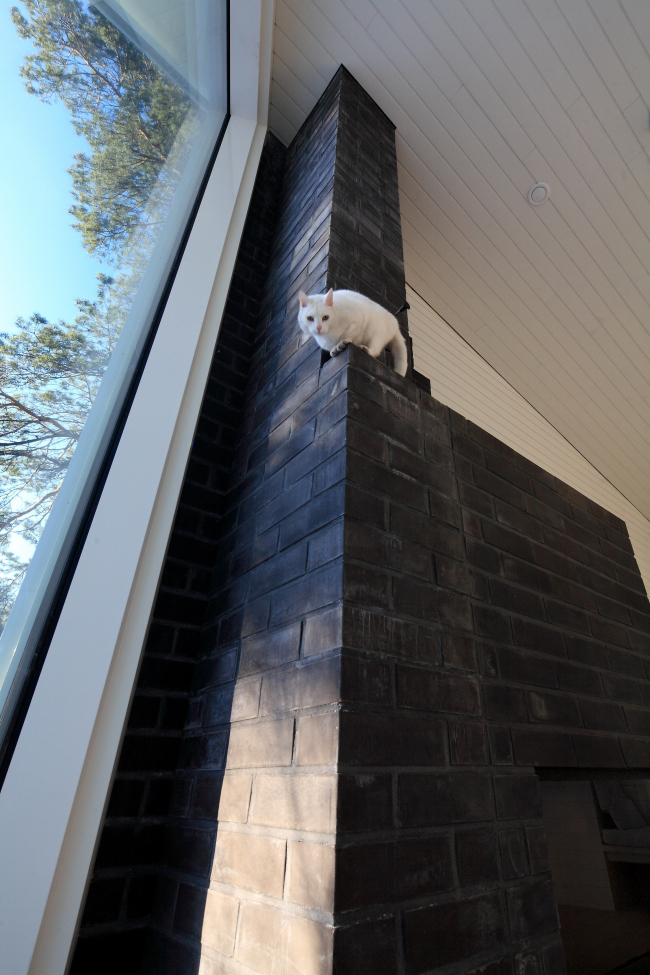 ��� Apelle. ����: AdDa Zei