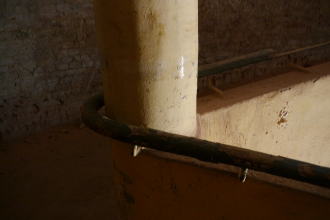 ������� ����, ������, ��������� ����������. ���������� �.������, 2013