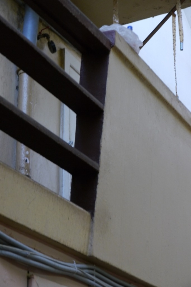 ������������ ����, ������ ����������. ���������� �.������, 2013