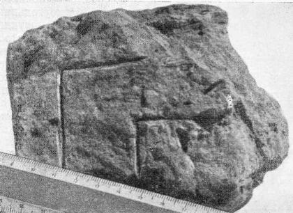 ���. 6. ������� �������� ����� IX �. � ������ ���������. ��������� ��������. �������� 1954 �.