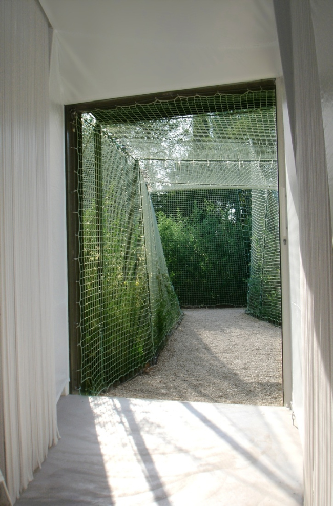 ��� Spidernethewood � ���� � R&Sie(n)