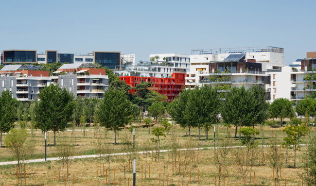 ����� �������� Version Rubis � Takuji Shimmura