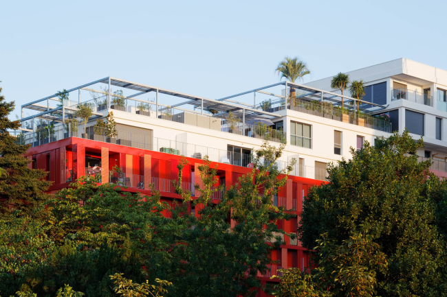 ����� �������� Version Rubis � Takuji Shimmura