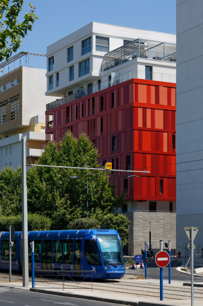 ����� �������� Version Rubis � Takuji Shimmura