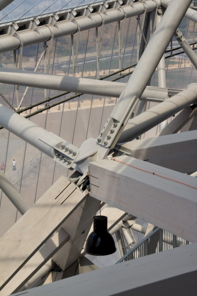 ������� Allianz Riviera � Miläne Servelle