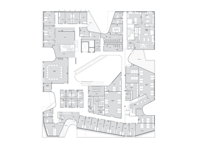 ������ ��������������� �������� ������������ ����� � Steven Holl Architects