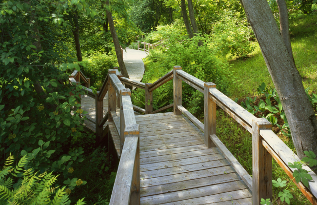 ���������� �������. ������� ��������� � ����������� �������� ARTEZA