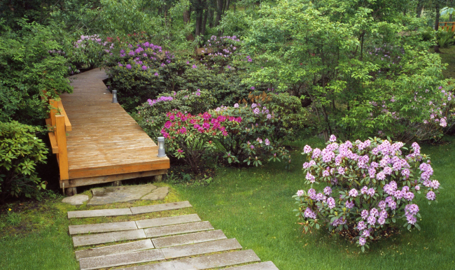 ���������� �������. ����� 2.  ����� � ���� � ���� � ����������� �������� ARTEZA