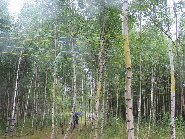 ����. Infinity in Russia. ���������� ����� ������������ 