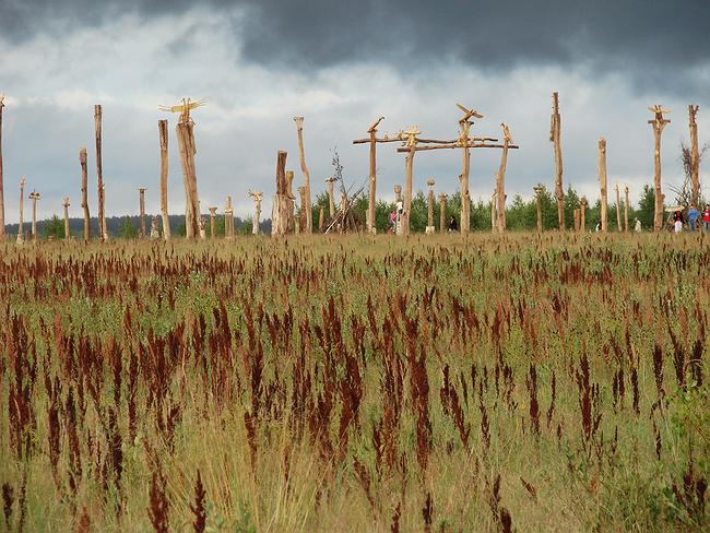 �������� �������. 2007 �.