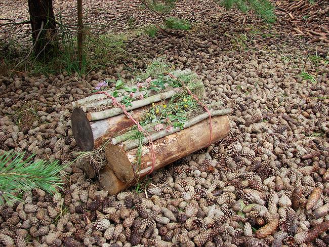 ������ �����, West 8. ������� ���. ���������� ���� �����������