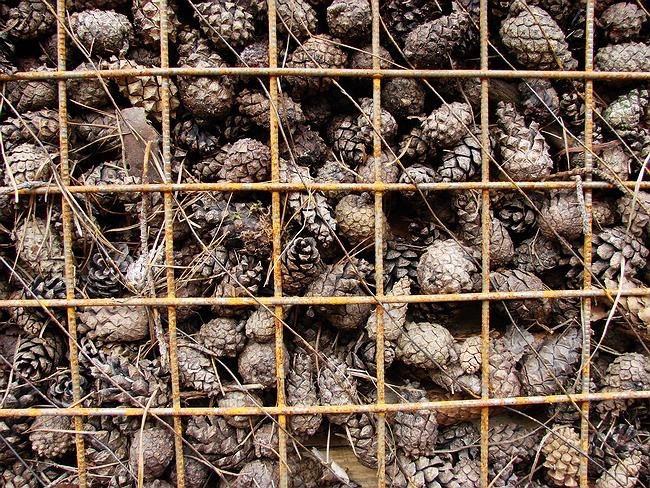 ����� �� �������� = �����. ������� ���. ���������� ���� �����������