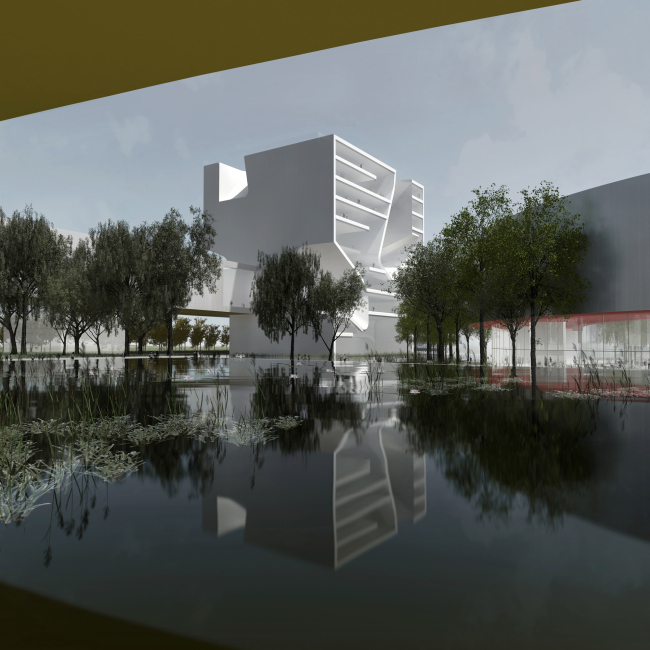 ����� �������� � ��������� � Steven Holl Architects