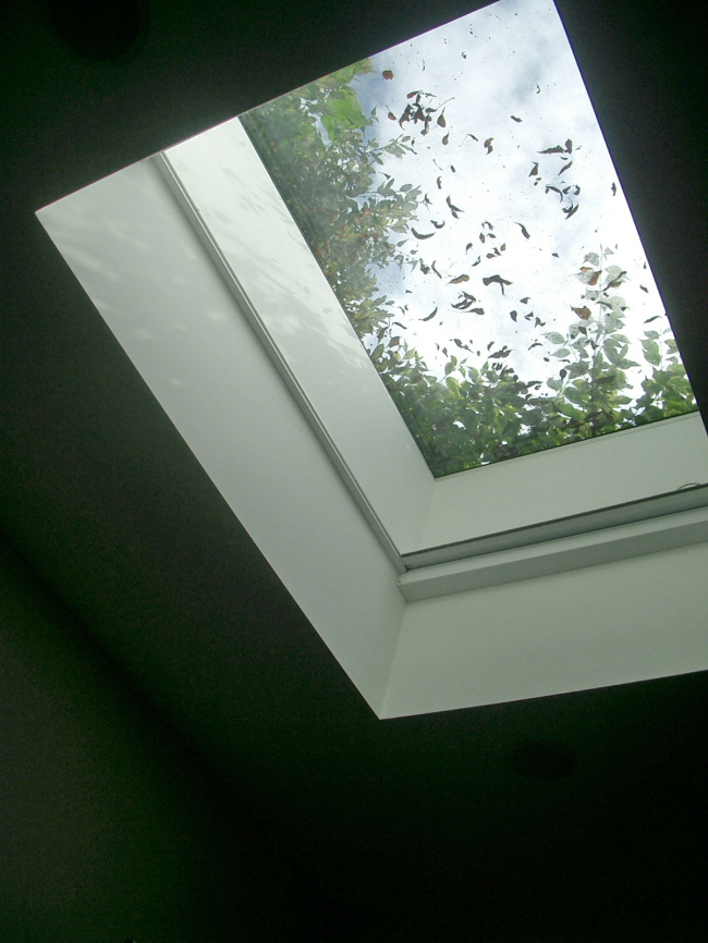 Linear House. ����: ������� ��������