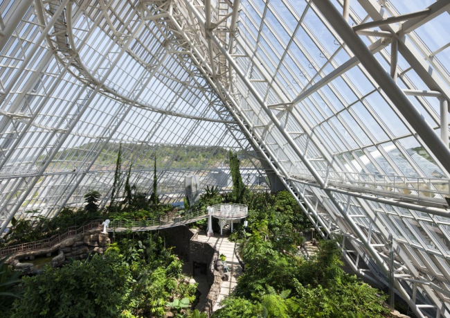 ������� ������� ������������� �������������� ��������� � Young Chae Park