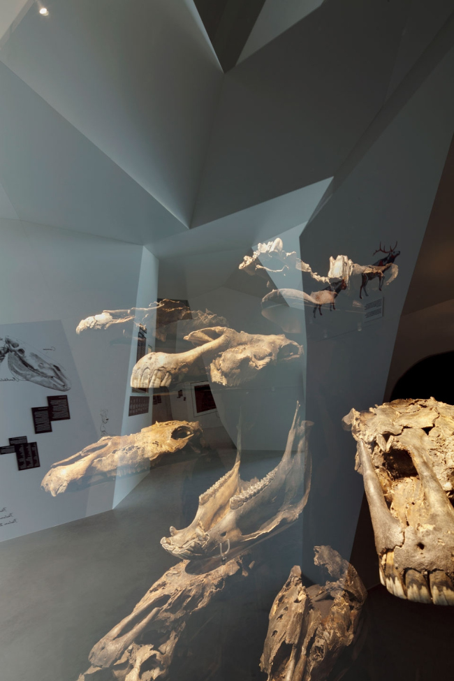 ����������������� ����� Paläon