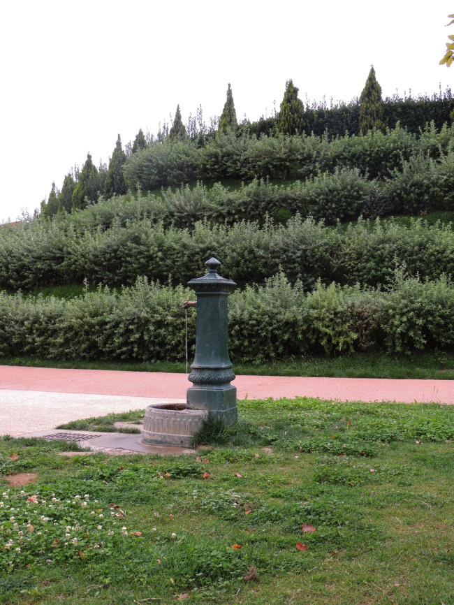 ���� ��������