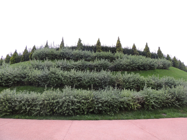 ���� ��������