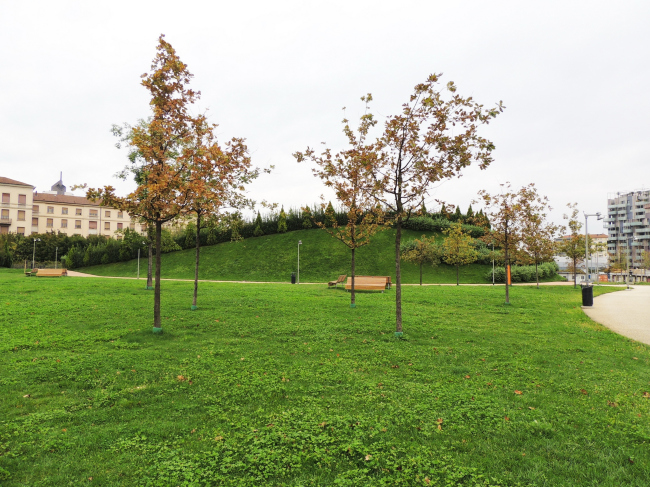 ���� ��������