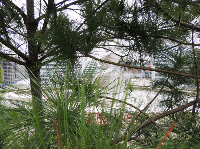 ���� ��������