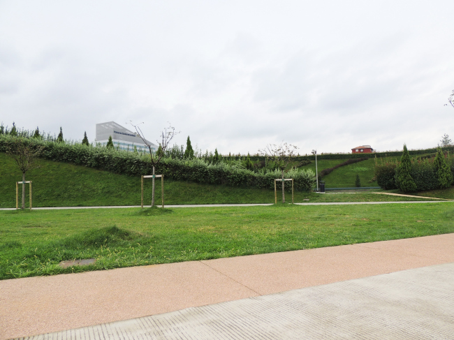 ���� ��������