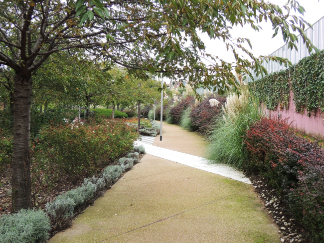 ���� ��������