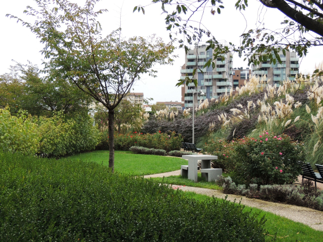 ���� ��������