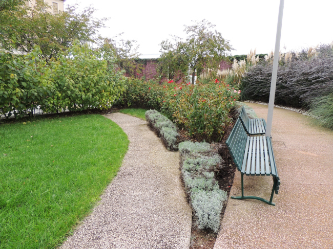 ���� ��������