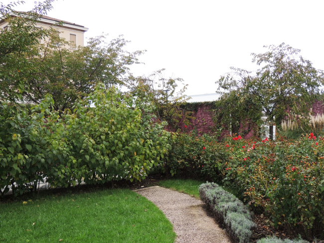 ���� ��������