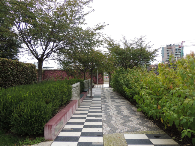 ���� ��������