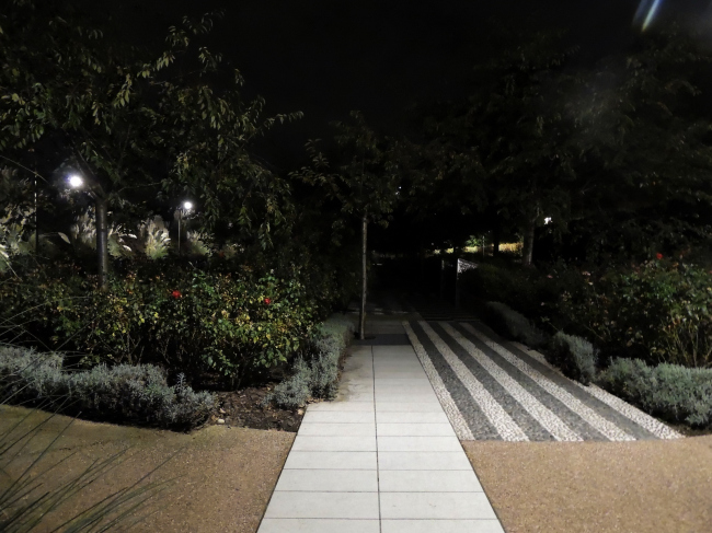 ���� ��������