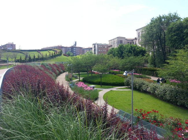 ���� ��������