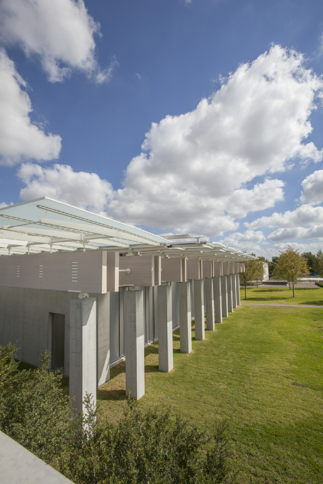 ����� �������� �������� - ����� ������. ����: Robert LaPrelle � 2013 Kimbell Art Museum