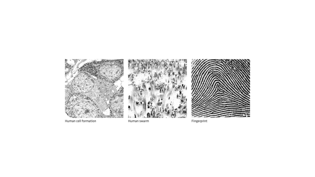 ����� ������������� ���� �  BIG + MIR