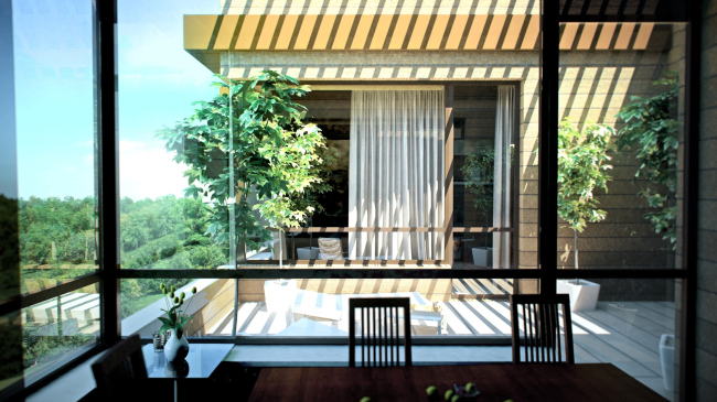 ����� �������� ������������ ������� ���������. ���������. ������, 2011 � �������������