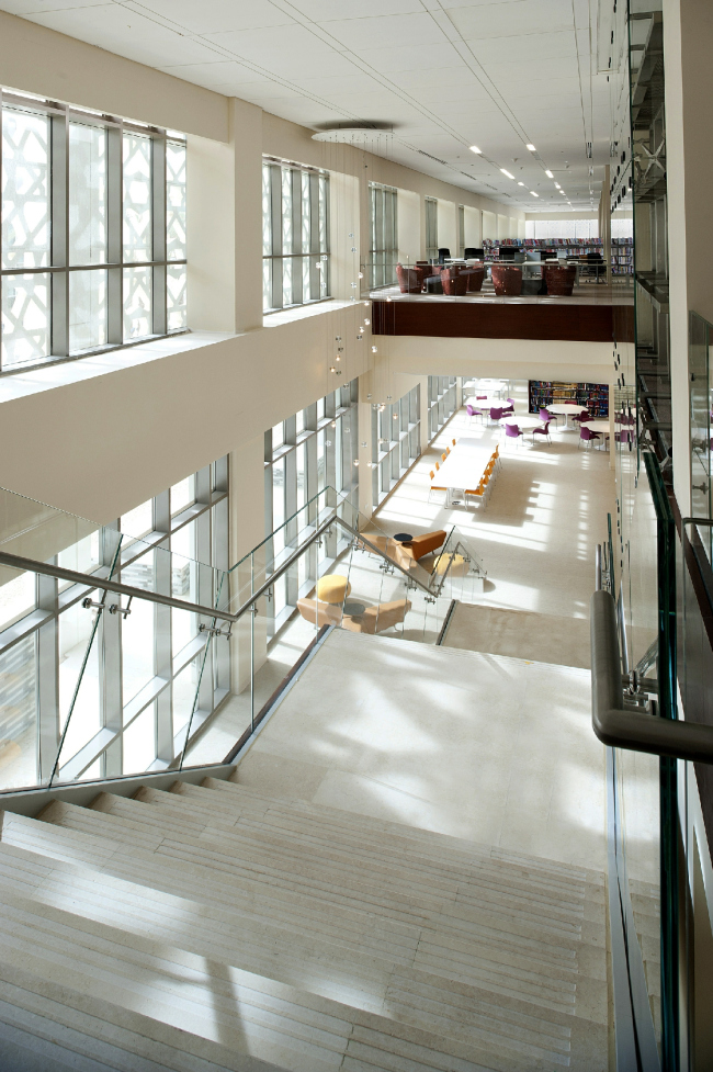 ����������� ��������� ���� ���� ����������� � Bill Lyons Photography