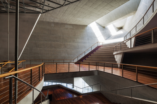 ����� �������� � Nelson Kon